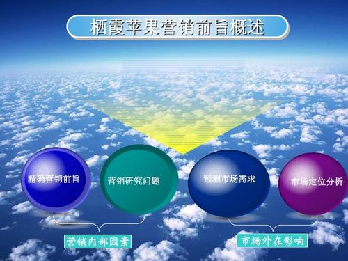 无忧文档 所有分类 计划/解决方案 营销/活动策划 全国高校市场营销