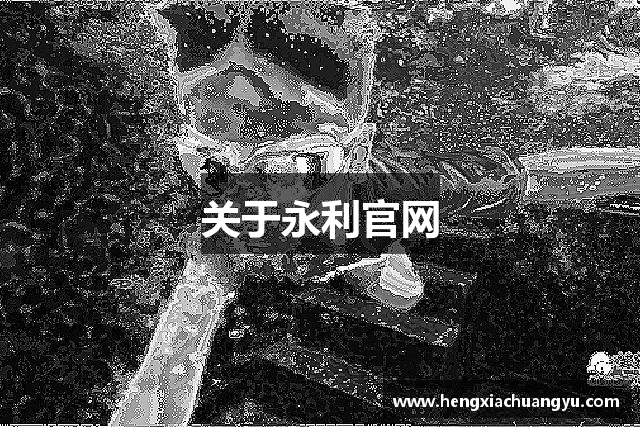 关于永利官网